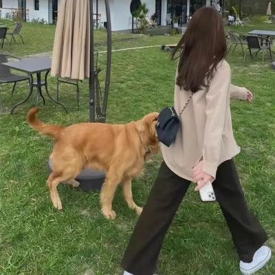 联合研究中心